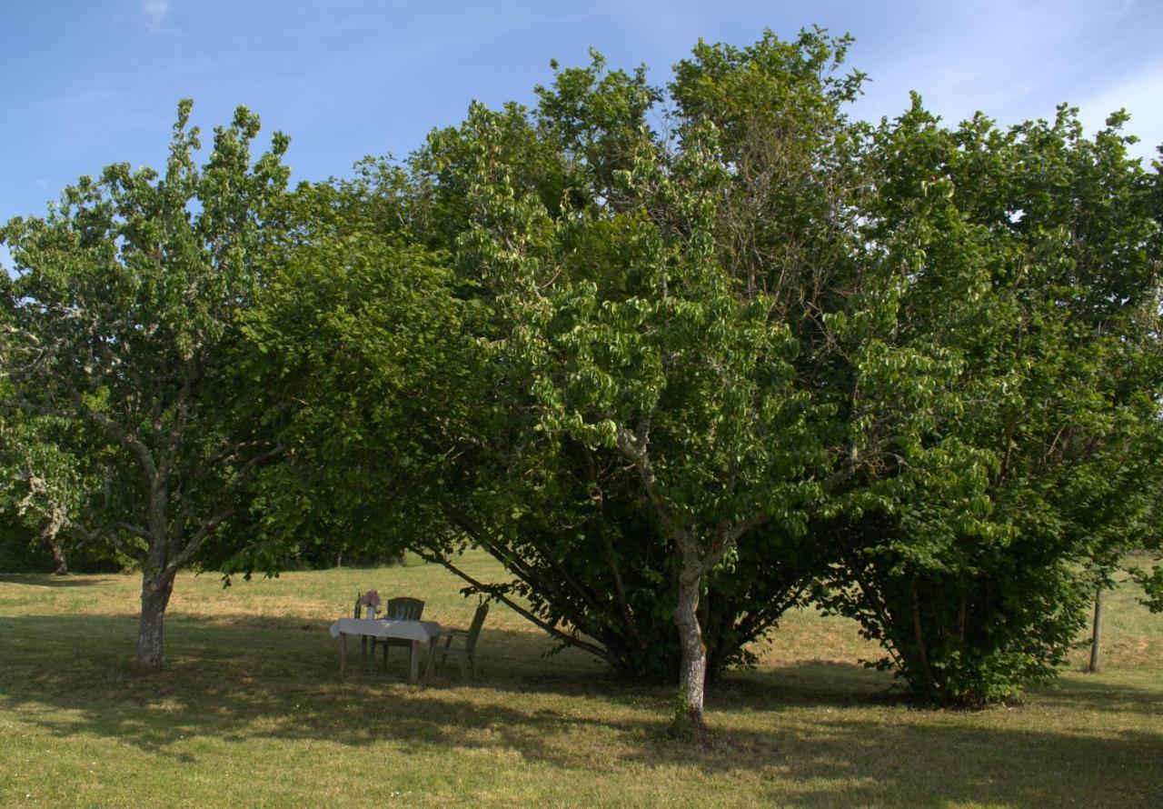 Perigourdine Avec Spa Et Vue Pomport Extérieur photo