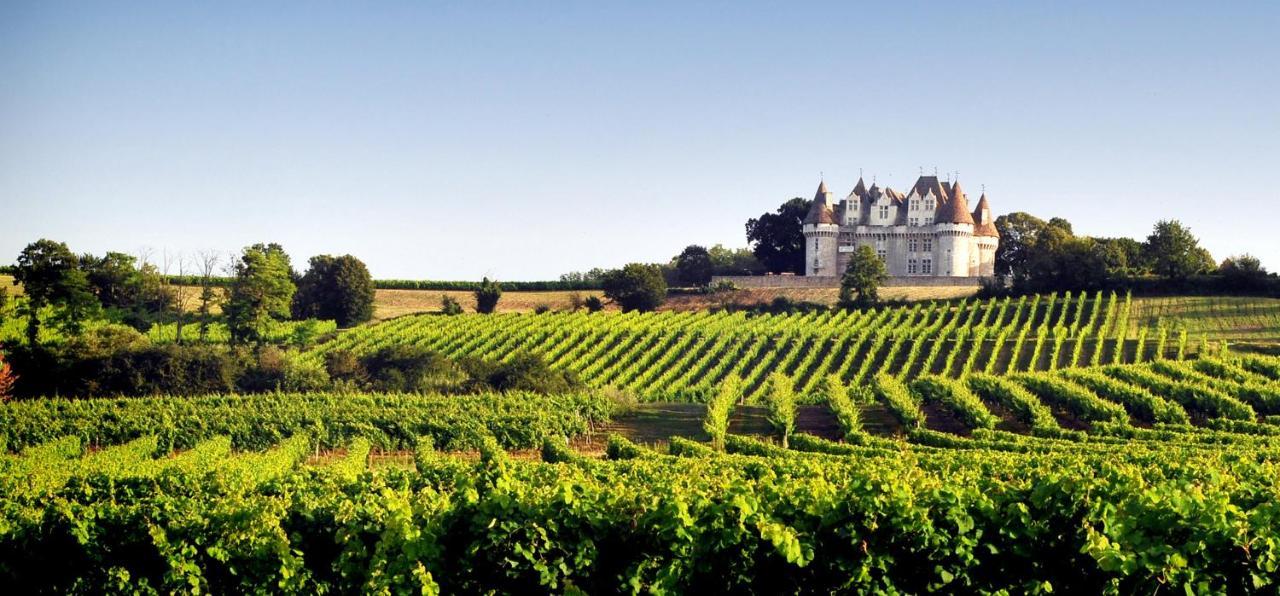 Perigourdine Avec Spa Et Vue Pomport Extérieur photo