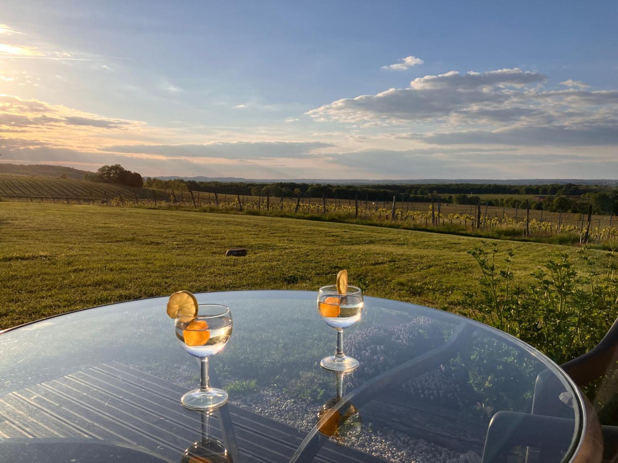 Perigourdine Avec Spa Et Vue Pomport Extérieur photo